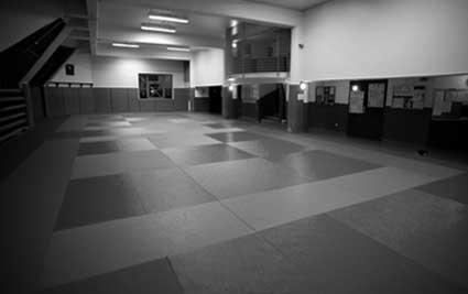 Photo de la salle de free fight (combat libre).
